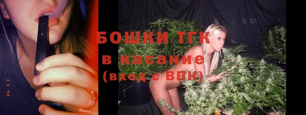 прущие грибы Фурманов