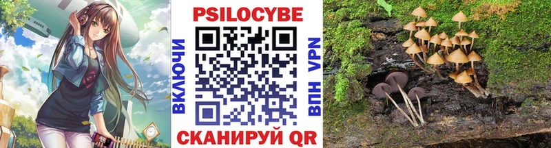 Купить  Коркино  Галлюциногенные грибы прущие грибы 
